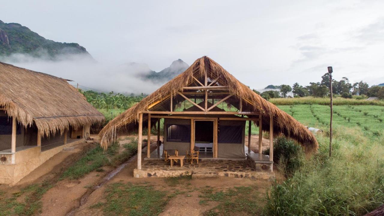 Wild Glamping Gal Oya - Thema Collection Otel Galgamuwa  Dış mekan fotoğraf